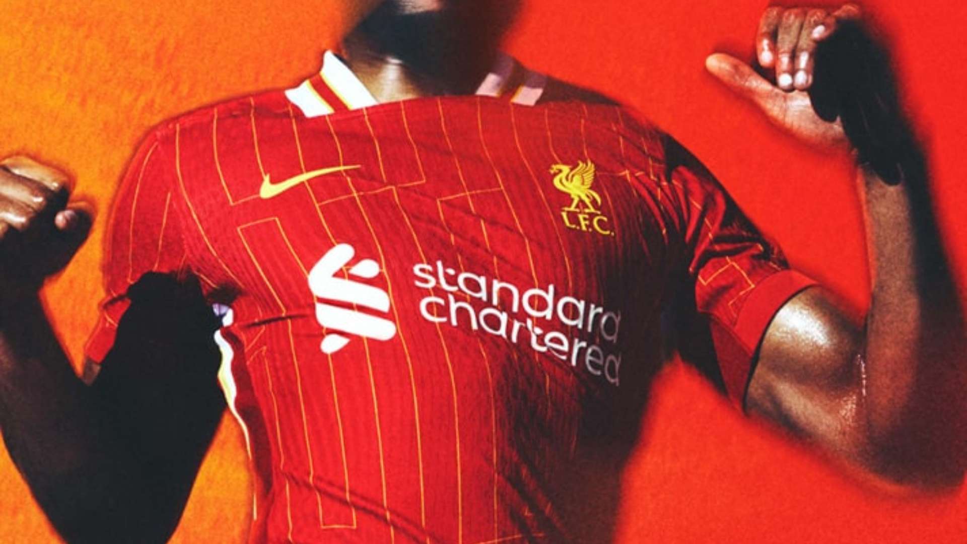 及未来展望 及未来展望